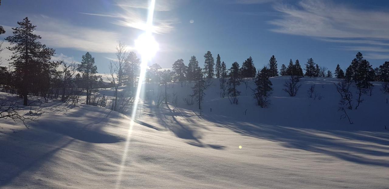Malangen Apartment Kjerkevik Kültér fotó